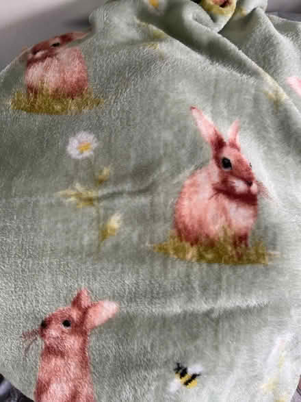 Photo of free Rabbit Fleece Blanket (Market Harborough) #2