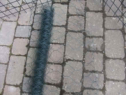 Photo of free Green plastic coated chicken wire, large mesh (Baldock SG7) #1