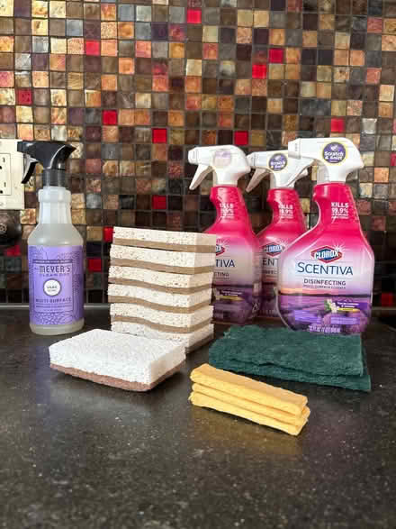 Photo of free Sponges, bleach, soap (Greenwood) #1