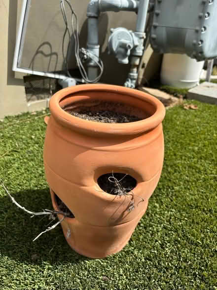 Photo of free Strawberry pot (Cambrian areA) #2