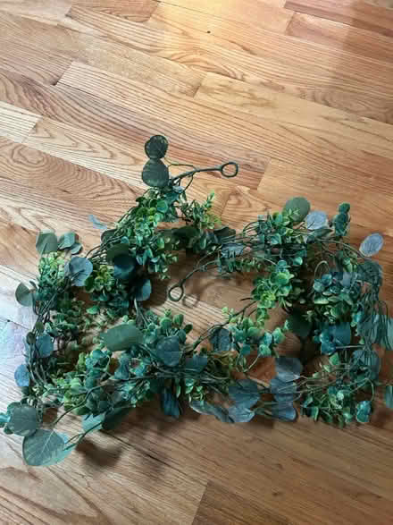 Photo of free 2 Fake Vines (Chelsea) #1