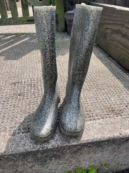 Photo of free Wellies (Eltham) #1