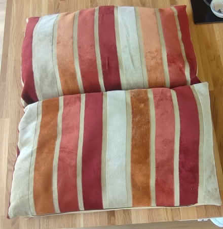 Photo of free 2 x Striped Cushions (Pickford Green CV5) #1