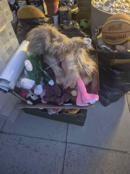 Photo of free Bags of teddies (SE5) #2