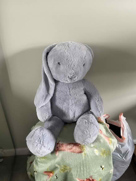 Photo of free Rabbit Cuddly Toy (Large) (Market Harborough) #1