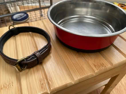 Photo of free Small dog collar and bowl (OX4 3) #1