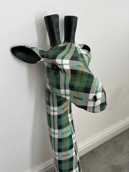 Photo of free Quirky Giraffe Wall Mount (CT14) #2
