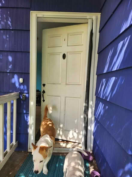 Photo of free Retractable screen-needs repair (Maple Leaf / Northgate) #2