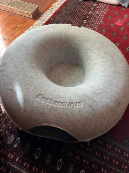 Photo of free Cat toy donut (Cambrian Park) #1