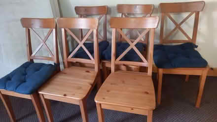 Photo of free 6 dining chairs (Manningham BD9) #1