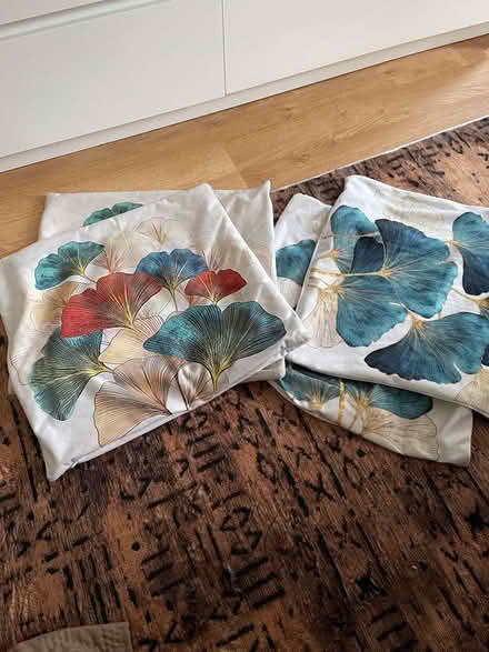 Photo of free 4 pieces of rectangular cushion covers (Furzton MK4) #1