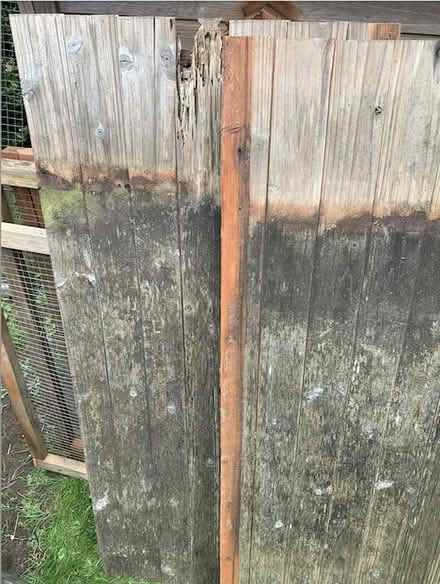 Photo of free Hen house / rabbit hutch /chicken coop (Walton Manor OX2) #3