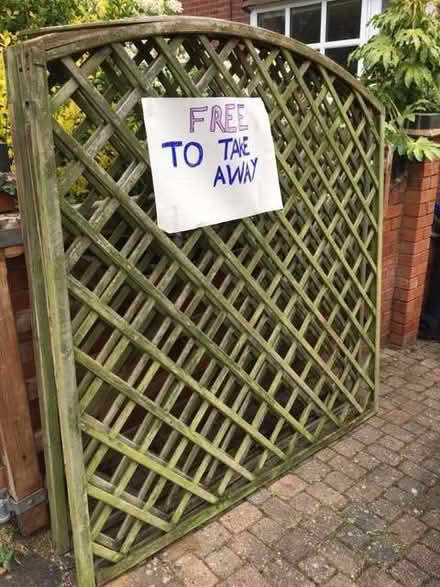 Photo of free 3 Garden Trellis panels 1.8m x1.8m (Cubbington CV32) #2