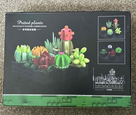 Photo of free Potted Plants (Stanford-le-Hope SS17) #1