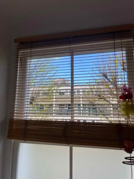 Photo of free Wooden blind (Stockwell) #1