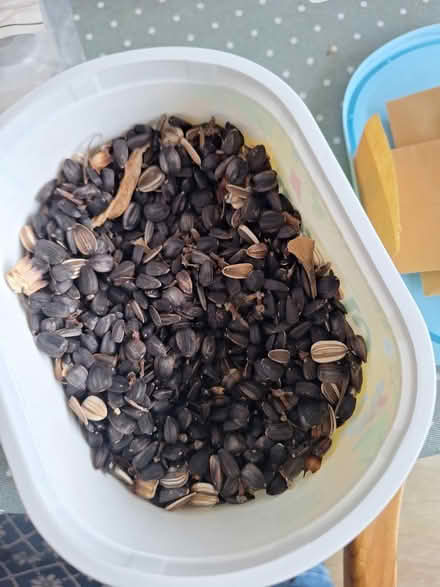 Photo of free Mixed sunflower seeds (Springfield) #1