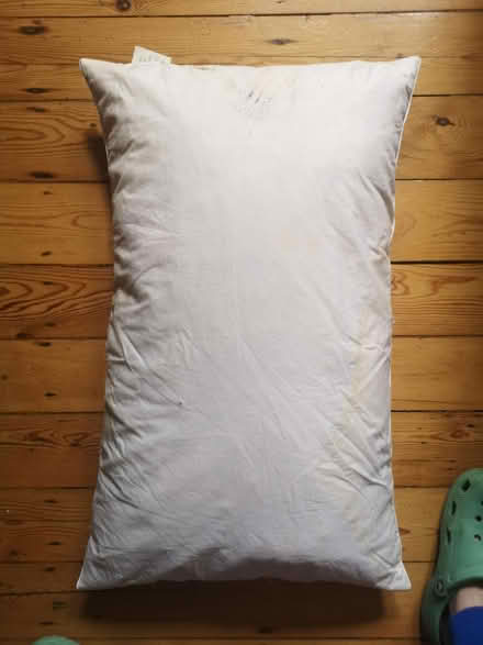 Photo of free Two feather pillows (Streatham SW16) #3