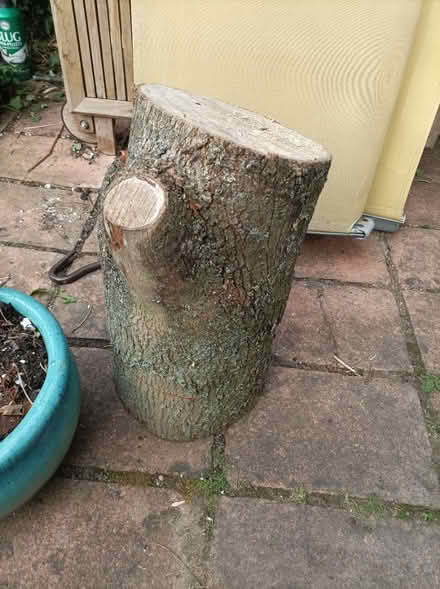 Photo of free Large log very heavy (Dunstable LU6) #1