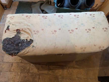 Photo of free Ottoman (Wern SY10) #2