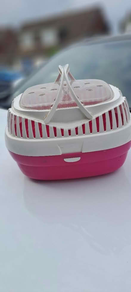 Photo of free Small pet carrier (Churchdown) #1