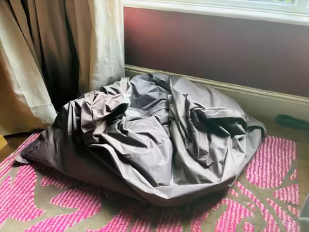 Photo of free Beanbag beans (Westbourne Grove M20) #1