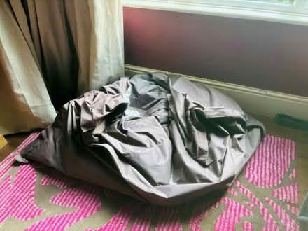 Photo of free Beanbag beans (Westbourne Grove M20) #1