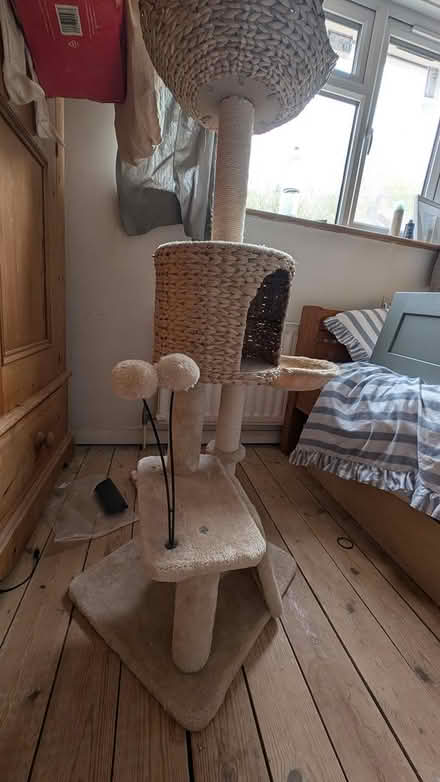Photo of free Cat tree (Dartford) #3