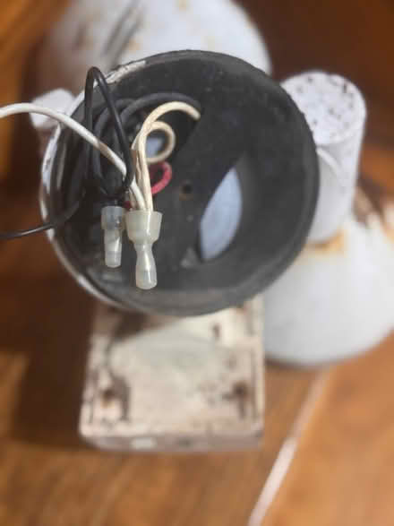 Photo of free Yard flood light (Stuyvesant Heights) #2