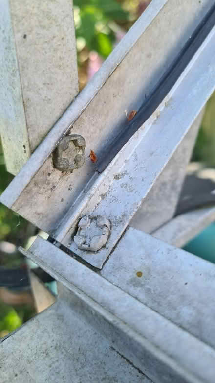 Photo of free 6x6ft greenhouse (Weston Park) #3