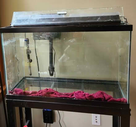 Photo of free fish tank and accessories (Cambridge, near Western Ave) #1