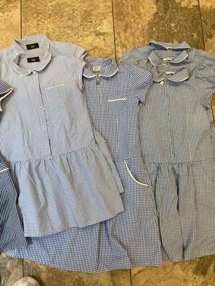 Photo of free Girls blue gingham school summer dresses, age 9 (Hampton Hill TW11) #3