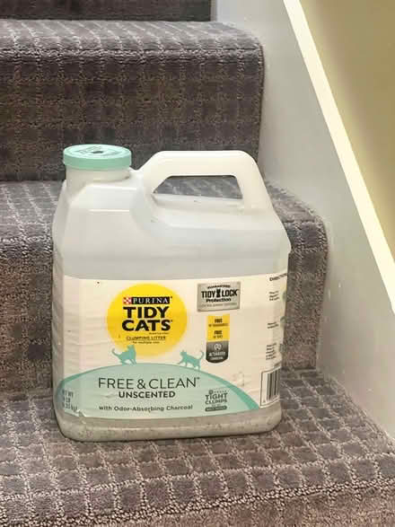 Photo of free Tidy Cat litter (Somerville, Winter Hill area) #1
