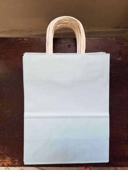 Photo of free Gift bags, light blue paper (Park Slope) #1