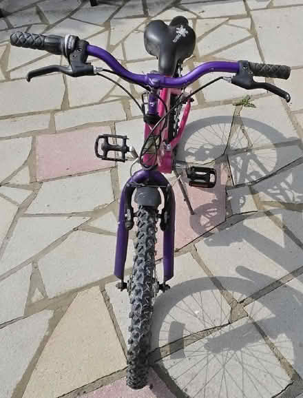 Photo of free 16" Probike "Crystal" (Asheridge Rd area HP5) #1