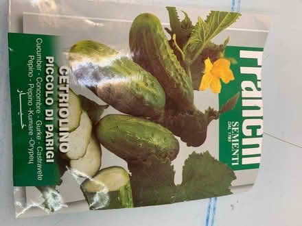 Photo of free Cucumber seedlings (Quernmore LA1) #3