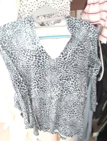 Photo of free Hobbs Aimee Tops (Misterton DN10) #2