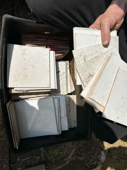 Photo of free Box of wall tiles (Grimston PE32) #3