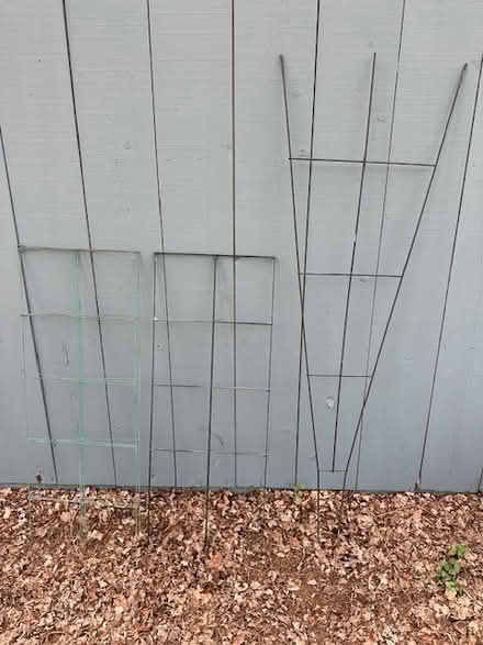 Photo of free 3 trellises (Lagrange) #1