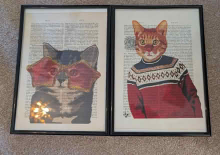 Photo of free 2 x A4 Cat Pictures + Jimmy Somerville Cat Sculpture (ME9) #1