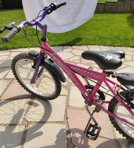 Photo of free 16" Probike "Crystal" (Asheridge Rd area HP5) #3
