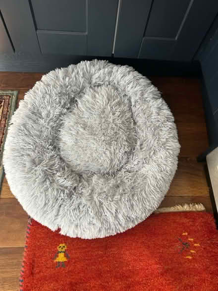 Photo of free 2 dog beds (Eynsham OX29) #1