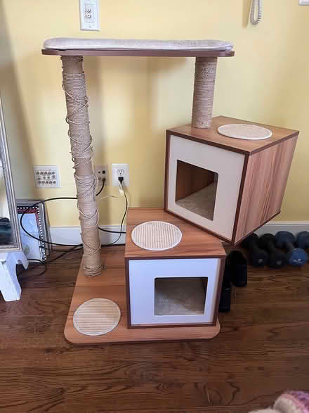 Photo of free Cat tree (Cardozo) #1