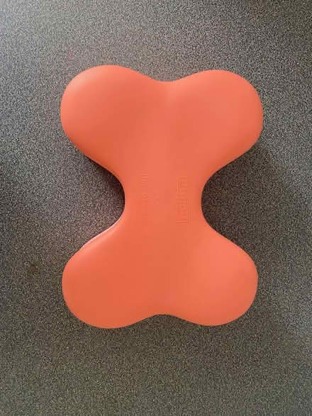 Photo of free Puppy puzzle toy (Histon, Cambridge) #1