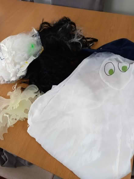 Photo of free Halloween Costume + Bits (Yes I know!) (Panshanger AL7) #1