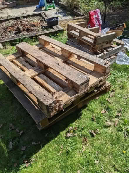 Photo of free Wooden Pallets (Colchester CO4) #1