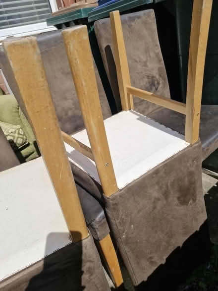 Photo of free Dining chairs (Coventry earlsdon) #1