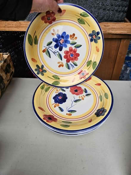 Photo of free 8 floral dinner dishes (South San Francisco) #2