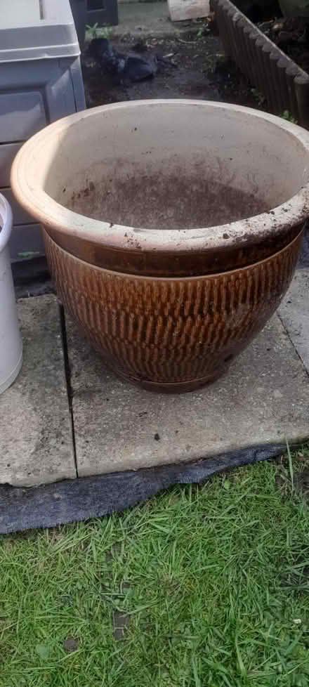 Photo of free Garden pot (Wickford SS11) #1