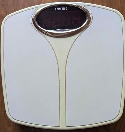 Photo of free scale (N Leverett) #1