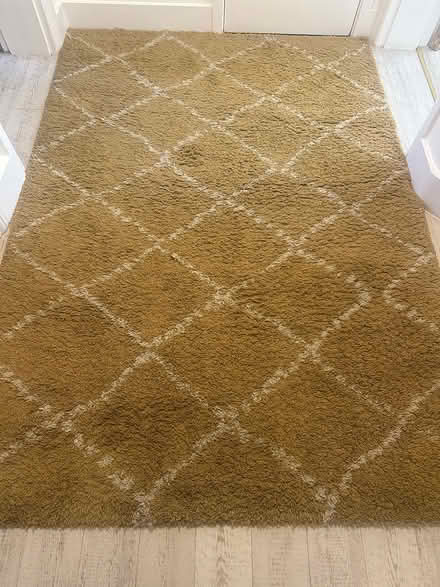 Photo of free Large Rug (CT14) #1